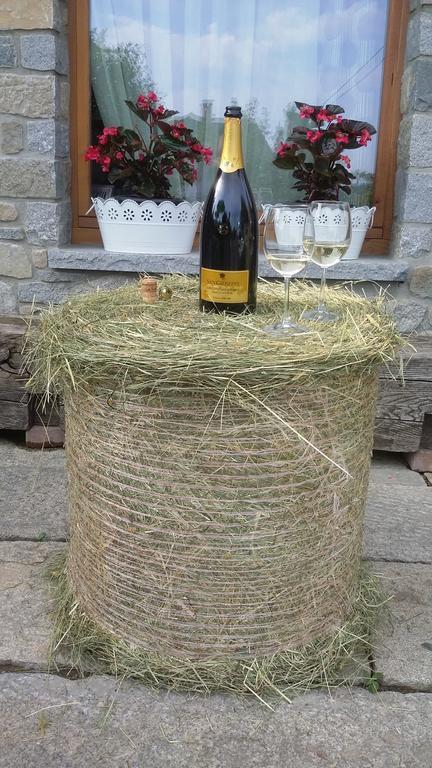 Vico Canavese La Stella Delle Alpi酒店 外观 照片